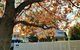 Healesville House - Magnolia House - thumb 1