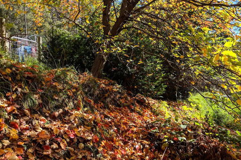 Mountain Blue Guest Accommodation - Kempsey Accommodation 1