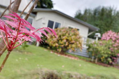 Montpellier Petite B+B - Kempsey Accommodation 2