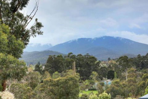 Montpellier Petite B+B - Kempsey Accommodation 4