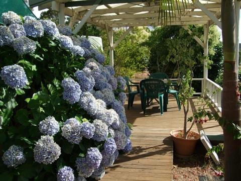 Nannup Riverview Cottage - Kempsey Accommodation 3
