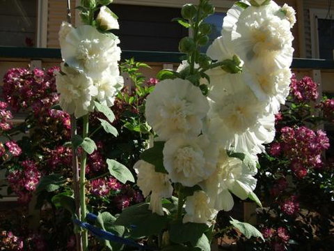 Nannup Riverview Cottage - Kempsey Accommodation 2