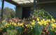 Nannup Riverview Cottage - thumb 0