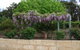 Nannup Riverview Cottage - thumb 5