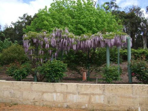 Nannup Riverview Cottage - Kempsey Accommodation 5