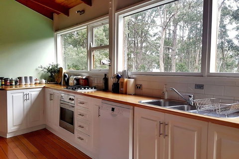 Eaglehawk Rainforest Retreat - Kempsey Accommodation 3