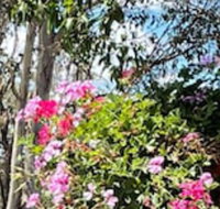 Crows Nest Motel - Kempsey Accommodation