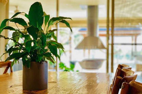Grand Gippsland Home Sleeps Up To 28 - Kempsey Accommodation 4