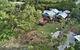 Jetavana Grove - thumb 0