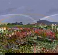 Boat Harbour Garden Cottages - Kempsey Accommodation