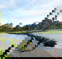 Amity Apartment Hotels - Kempsey Accommodation