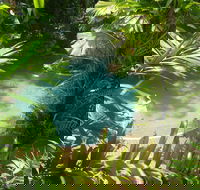 Palm Cove Tropic Apartments - Kempsey Accommodation