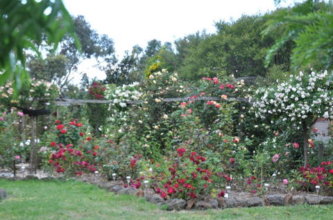 Fairy Wren Cottage Country To Coast Retreat - Kempsey Accommodation 6
