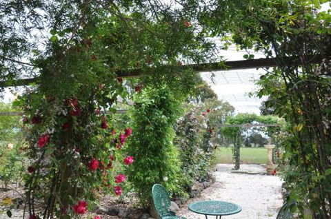Fairy Wren Cottage Country To Coast Retreat - Kempsey Accommodation 1
