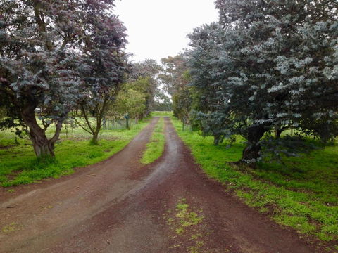 Fairy Wren Cottage Country To Coast Retreat - Kempsey Accommodation 4