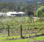 Eureka Farm - Kempsey Accommodation