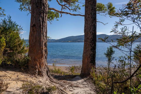 Fairwinds Tasmania - Kempsey Accommodation 6