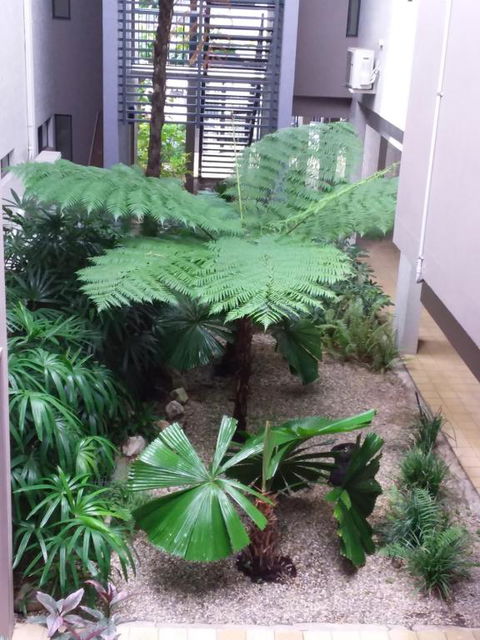 Jackies Studio Apartment - Kempsey Accommodation 5