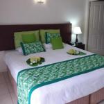 Jackies Studio Apartment - Kempsey Accommodation 0