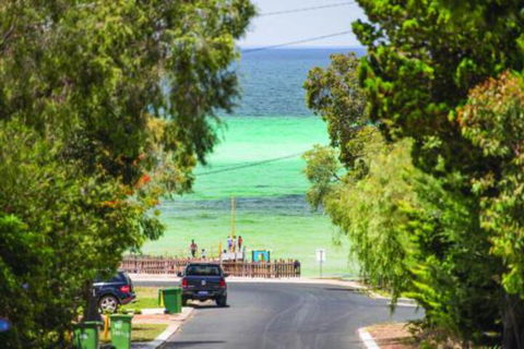 Opulent Oasis - Kempsey Accommodation 7