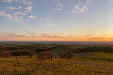 Windmill Cottage - Kempsey Accommodation 5