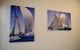 Homy Apartment In Trendy Haberfield - thumb 3