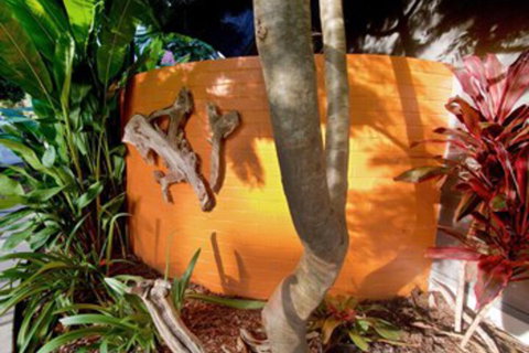 Driftwood Villa - Kempsey Accommodation 4