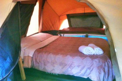 WA Wilderness Glamping - Kempsey Accommodation 3