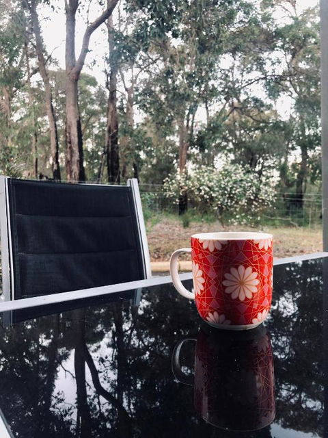 On The Edge Of The Forest - Kempsey Accommodation 6