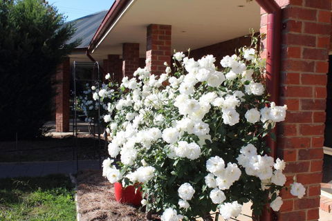 Gundaroo Manor Bed & Breakfast - Kempsey Accommodation 1