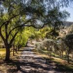 Capers Guesthouse Barn & Cottage - Kempsey Accommodation 0
