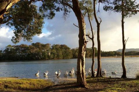 Lakehouse On Oxley - Kempsey Accommodation 2