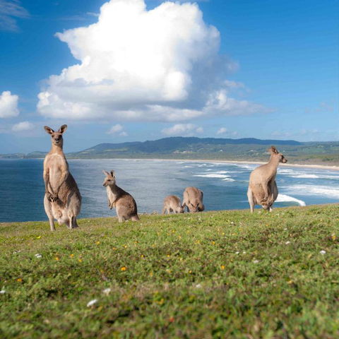 FAMILY ISLAND GETAWAY BEACHFRONT APARTMENT - Kempsey Accommodation 4