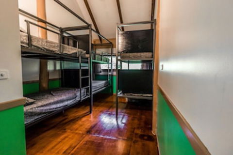 Jackaroo Treehouse Mission Beach - Kempsey Accommodation 0