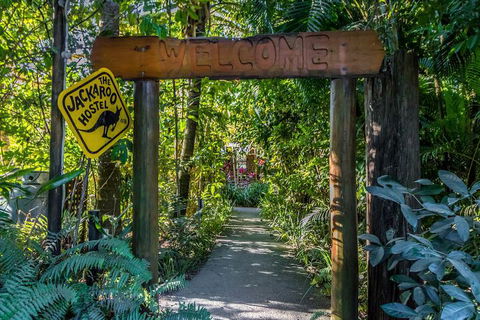 Jackaroo Treehouse Mission Beach - Kempsey Accommodation 1