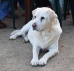 Nazaaray Beach House - Kempsey Accommodation