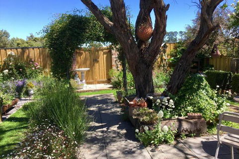 Aggies Bed & Breakfast - Kempsey Accommodation 5