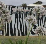 Zebras Guest House - Kempsey Accommodation