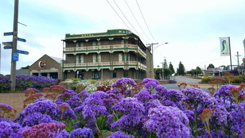 Georgia - Kempsey Accommodation 2