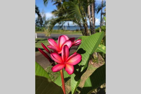 Mission Possible - Kempsey Accommodation 6