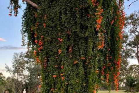 Amarina Farm Stay & Gardens - Kempsey Accommodation 6