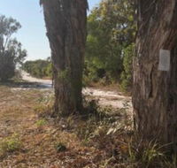 COONARR BEACH  BUNDABERG CAMPING - Kempsey Accommodation