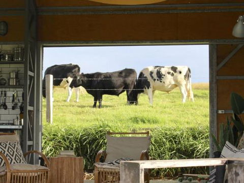 THE SHED Gerroa 4pm Checkout On Sundays & Public Holidays - Kempsey Accommodation 6