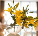 KUI Manhattan Apartments - Kempsey Accommodation
