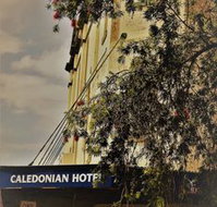 Caledonian Hotel - Kempsey Accommodation