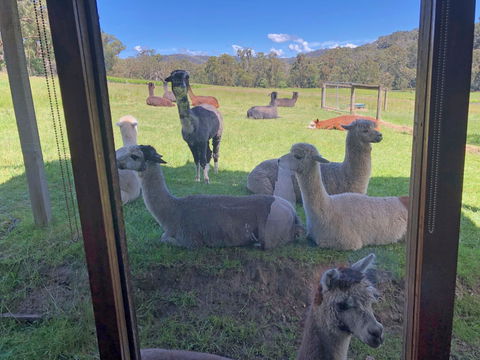 Valley Farm Vineyard Cottages - Kempsey Accommodation 2