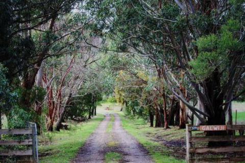 Galwiji Homestead - Kempsey Accommodation 7