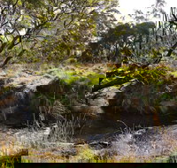 Green Gully House - Kempsey Accommodation