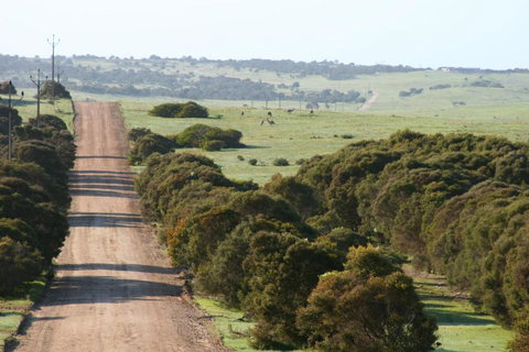 Almonta Park Lodge - Kempsey Accommodation 4