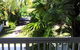 Absolute Backpackers Mission Beach - thumb 4